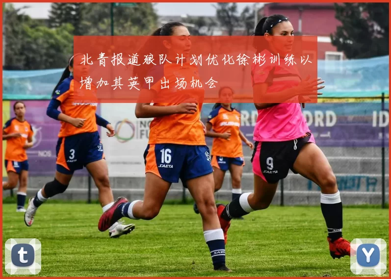 北青报道狼队计划优化徐彬训练以增加其英甲出场机会