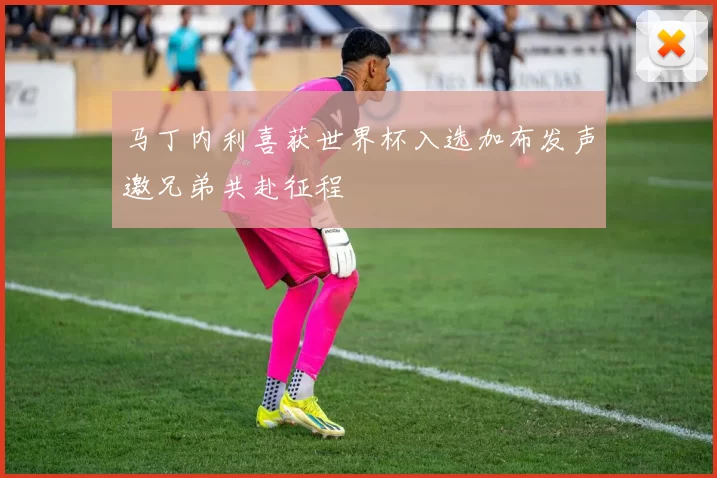 马丁内利喜获世界杯入选加布发声邀兄弟共赴征程